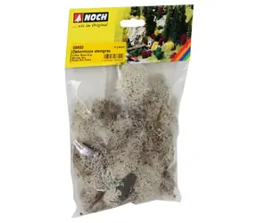 NÔCH Dekoračný mach sivý / H0, TT, N, G / 35 g / od 14 rokov