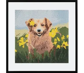 GRAFIX Diamantové maľovanie Pes v narcisoch / 30x30 cm