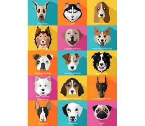 YAZZ Puzzle Psy / 1000 dielikov / 68 × 48 cm