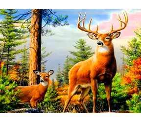 Norimpex Diamantové maľovanie Jeleň v horách / Diamantové maľovanie / 30x40 cm