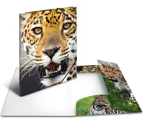 Herma Dosky s gumičkou Leopard A4 / Dosky s gumičkou / Polypropylén / Viacfarebné