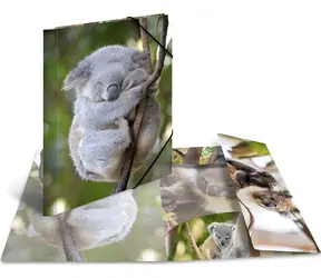 Herma Dosky s gumičkou Koala / Dosky na dokumenty / A4 / Polypropylén / Lesklé / 3 chlopne