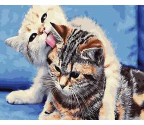 Norimpex Diamantové maľovanie Mačacie priateľstvo / 30x40 cm