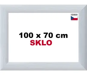 BFHM rám na puzzle Alaska strieborná / 100x70 cm / hliníkový, sklo 2 mm / 3 závesy