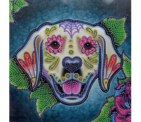 Norimpex Diamantové maľovanie 7D Labrador / 30x30 cm