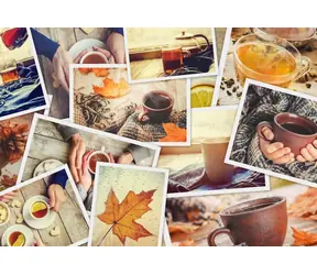 GRAFIKA Puzzle Užite si to / 1000 dielikov / 69 × 47,8 cm