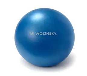 Wozinsky WPDP-N22 modrá / Rehabilitačná lopta / 22 cm