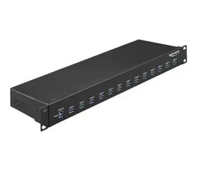 DeLock 19" priemyselný USB hub 13x USB-A čierna