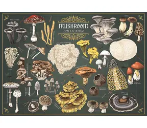 Trefl Puzzle Premium PLUS Finders Keepers: Huby
