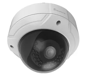 LevelOne FCS-3085 biela / IP kamera / Dome / 4 MP / IR / PoE / IP66