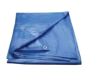 OEM Plachta s okami 5x6 m / Krycia plachta