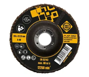 Forte Tools Lamelový brúsny kotúč 125 mm / Brúsny kotúč / Priemer 125 x 22,23 mm