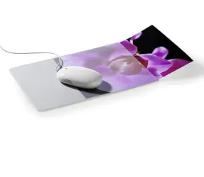 Durable Mouse Pad PLUS sivá / transparentná / Podložka pod myš / s vreckom na foto / 300 x 200 mm