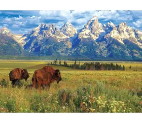 EUROGRAPHICS Puzzle Národný park Grand Teton / 1000 dielikov / 68 × 48 cm