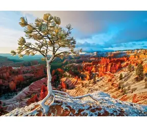 EUROGRAPHICS Puzzle Zimné svitanie, Bryce Canyon / 1000 dielikov / 67,63 × 48,89 cm