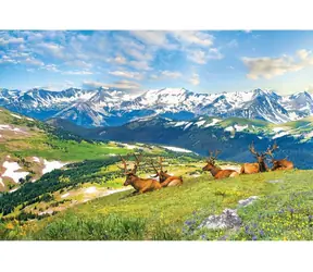 EUROGRAPHICS Puzzle Jelene v horách / 1000 dielikov / 68 x 48 cm