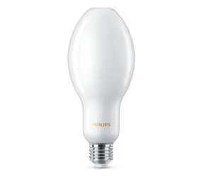 Philips TForce Core LED road 17W E27