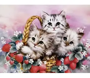 Norimpex Diamantové maľovanie Mačiatka v košíku (2000581) / 30x40 cm