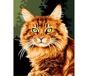 Norimpex Diamantové maľovanie Ryšavá mačka / 30x40 cm