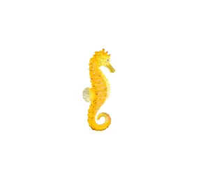 ZOOTED Figúrka Koníček morský / Plast / 8 cm / 3+