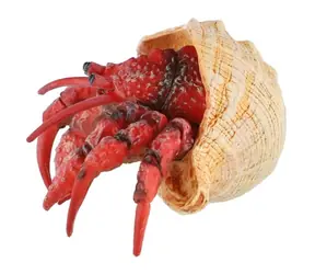 ZOOTED Figúrka Krab pustovník / plast / 7 cm / od 3 rokov