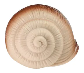 Rappa Slimák 11 cm / Figúrka zvieratka / Guma a plast