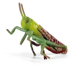 Rappa Figúrka Saranče / Hmyz / 7 cm / plast