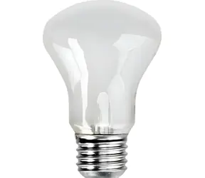 Elinchrom Žiarovka pre štúdiové svetlá E27 / Žiarovka / 100 W / 196 V