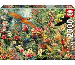Educa Puzzle Vtáky Amazónie / 2000 dielikov / rozmer 96 × 68 cm