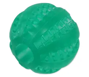 Dog Fantasy Loptička DENTAL MINT zelená 5 cm