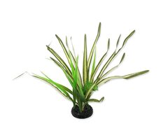 Repti Planet Rastlina tráva Spartina 30cm