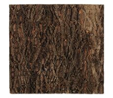 Repti Planet Pozadie korok prírodný 58.5x56x2cm