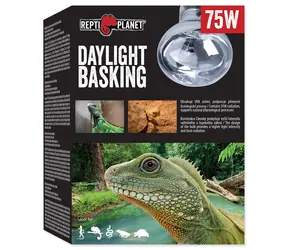 Repti Planet žiarovka Daylight Basking Spot 75W