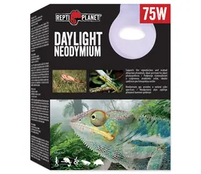 Repti Planet žiarovka Daylight Neodymium 75W