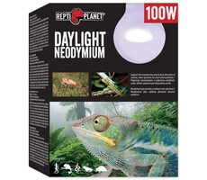 Repti Planet žiarovka Daylight Neodymium 100W