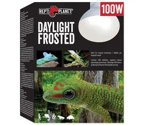 Repti Planet žiarovka Daylight Frosted 100W