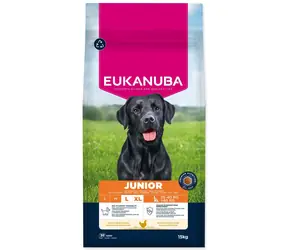 Eukanuba Junior Large rich in fresh chicken 15kg / granule pre mladých psov / pre veľké plemená 