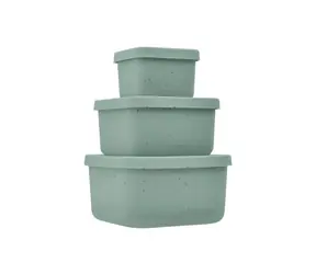KikkaBoo Sada boxov na desiatu 3 ks Platinum Silicone Sage