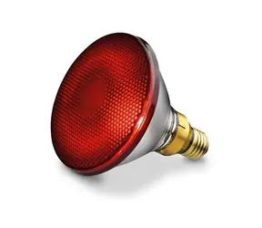 BEURER Philips Náhradná Žiarovka do infračervenej lampy IL35/150W