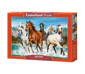 Castorland 200702 Kone / 2000 dielikov / od 9 rokov
