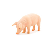 Mojo Animal Planet Prasa / od 3 rokov