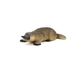 Mojo Animal Planet Vtákopysk podivný / od 3 rokov