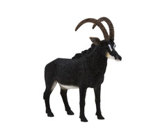 Mojo Animal Planet Antilopa vrana / od 3 rokov