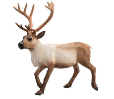 Mojo Animal Planet Sob / od 3 rokov