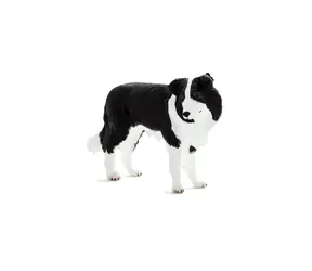 Mojo Animal Planet Border kolie / od 3 rokov