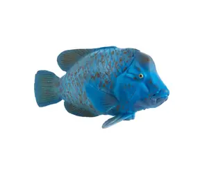 Mojo Animal Planet Groper modrý / od 3 rokov