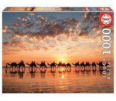 Educa Zlatý západ slnka na Cable beach - Austrália / 1000 dielikov / od 14 rokov
