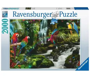 Ravensburger Farebné papagáje v džungli / 2000 dielikov / od 14 rokov