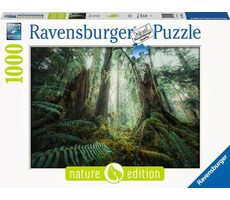 Ravensburger Les