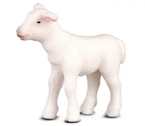 Collecta Jahňa / od 3 rokov